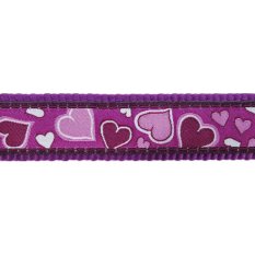 Postroj Red Dingo 25 mm x 71-113 cm - Breezy Love Purple