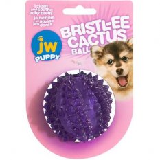 JW Bristl-ee Cactus Ball