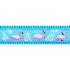 Postroj Red Dingo 20 mm x 45-66 cm - Flamingo Turquoise