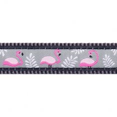 Postroj Red Dingo 20 mm x 45-66 cm - Flamingo Grey