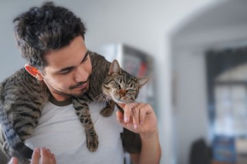Jak jsou pro nás kočky prospěšné