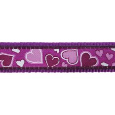 Postroj Red Dingo 25 mm x 56-80 cm - Breezy Love Purple