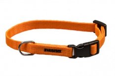 Obojek puppy nylon rozlišovací-oranžový s černou přezkou B&F 1,00 x 18-26 cm