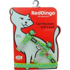 Postroj Red Dingo s vodítkem - kočka- Stars Turquoise