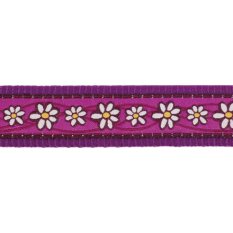 Postroj Red Dingo 25 mm x 71-113 cm - Daisy Chain Purple