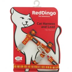 Postroj Red Dingo s vodítkem - kočka- Lotzadotz Orange