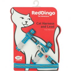 Postroj Red Dingo s vodítkem - kočka- Dreamstream Turq.